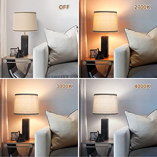 Drum Lampshades Set of 2