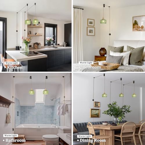 Plug in Pendant Light Hanging Light Fixture Corded On