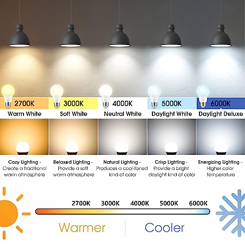 A19 LED Light Bulbs (10 Count)