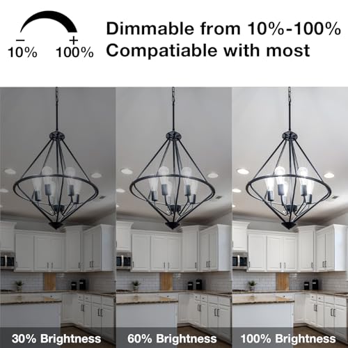 10 Pack LED Lights (10 Count)