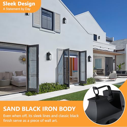 13.6 Inch Matte Black Exterior Wall Lantern with Clear Glass Shade