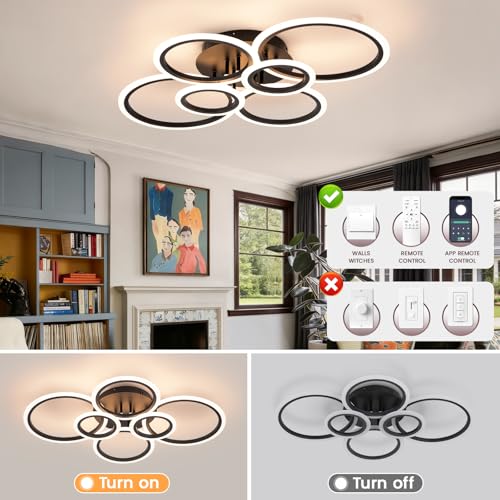 Modern Ceiling Light
