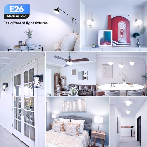 A19 LED Light Bulbs (24 Count)