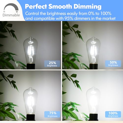 Dimmable ST58 Antique Clear Vintage Edison LED Light Bulbs (4 Count)