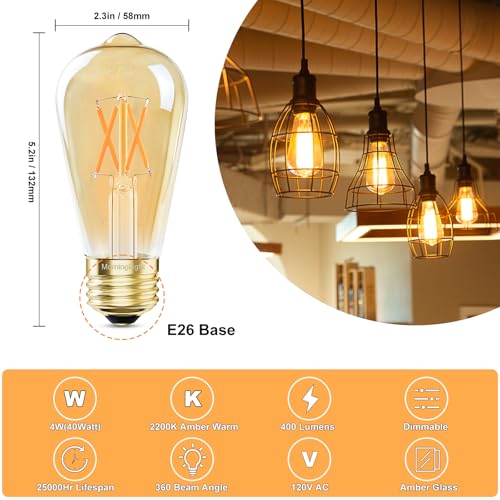 Dimmable ST58 LED Edison Bulbs 40W Equivalent (6 Count)