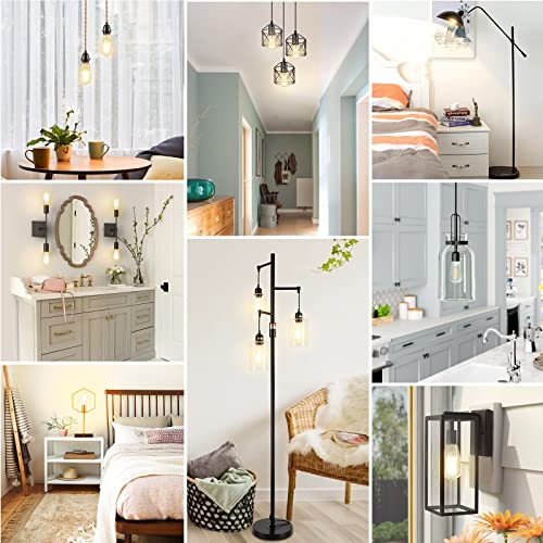 Dimmable Vintage LED Edison Bulbs 60W Equivalent 6W 850 Lumens (12 Count)