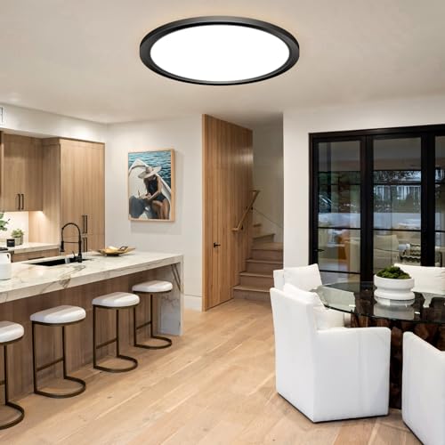2PACK LED Flush Mount Ceiling Light Fixture (2 Count)