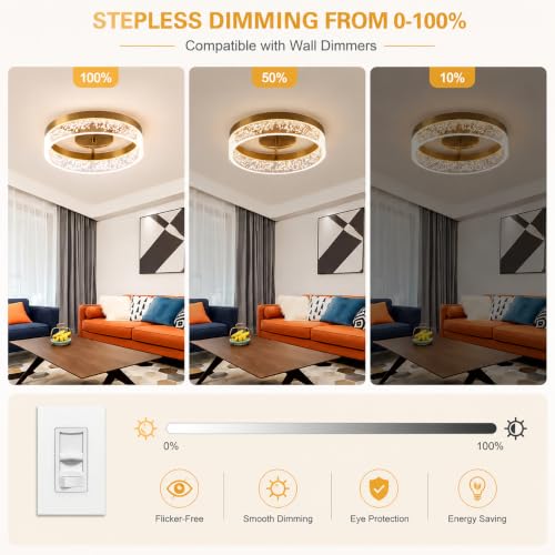 Modern LED Ceiling Light Fixture