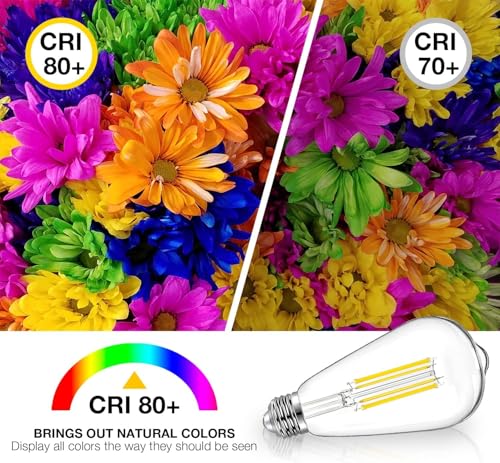 6 Pack Vintage LED Edison Bulbs (6 Count)