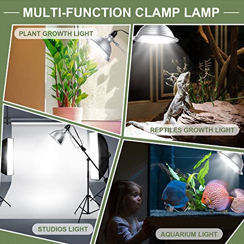 12 Pack Clamp Lamp Light with Aluminum Reflector (12 Count)