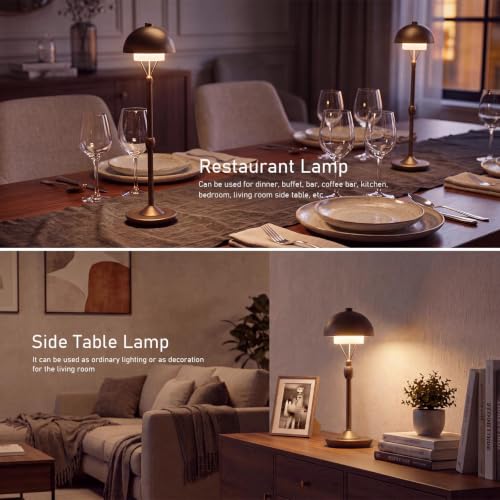 Cordless Modern Desk Lamp