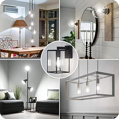 6 Pack Vintage LED Edsion Bulbs 100W Equivalent (6 Count)