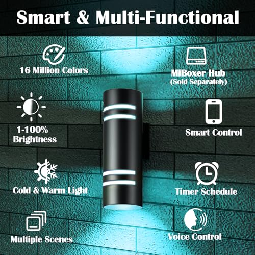 RGB Outdoor Wall Lights