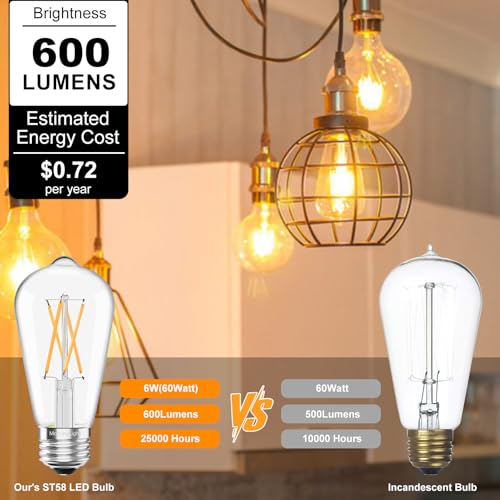 Dimmable Vintage LED Edison Bulbs 60Watt (2 Count)