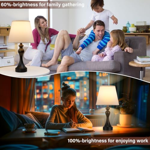 Touch Lamps for Nightstand (2 Count)