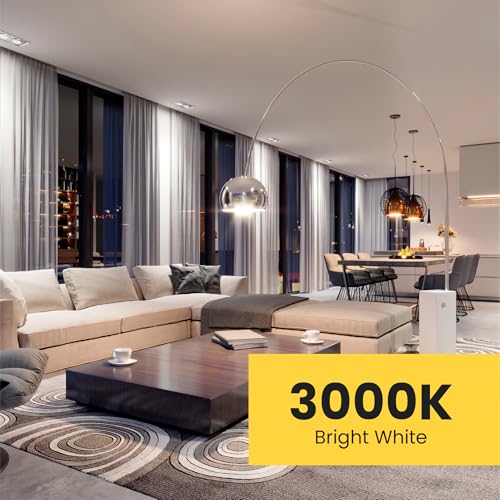 A19 100W Equivalent LED Light Bulbs (6 Count)