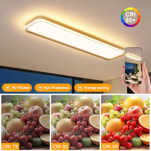 Modern LED Ceiling Light