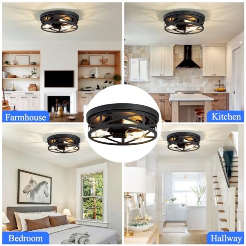 Flush Mount Ceiling Light Fixture