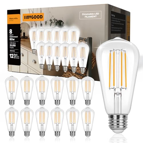 12 Pack LED Light Bulbs Dimmable Vintage Edison Bulb (12 Count)