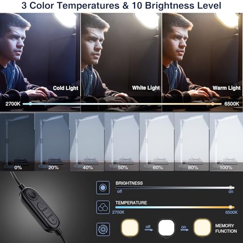 Desk Ring Light with Stand for Computer