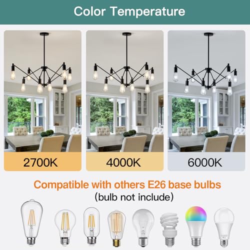 Modern Chandelier 8