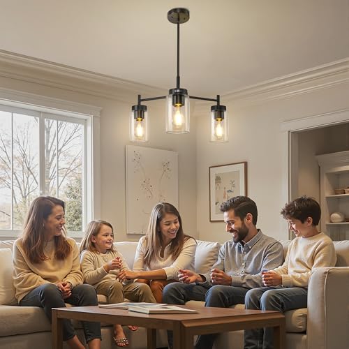 3 Light Black Chandelier for Dining Room Light Fixture