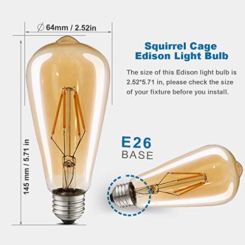 LED Edison Bulbs (4 Count)