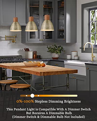 Vintage Hammered Pendant Light Fixture