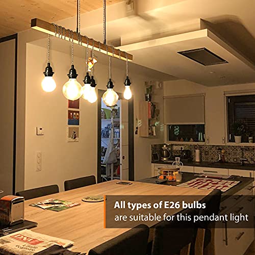 Plug in Hanging Light Fixture