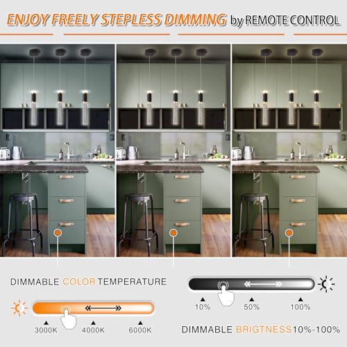 Led Pendant Light (2 Count)