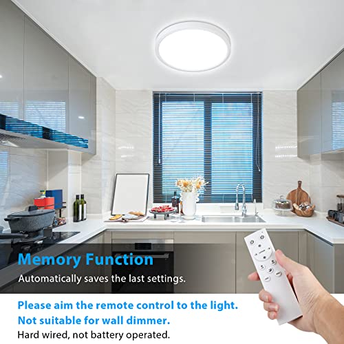 Dimmable Ceiling Light with Remote Control