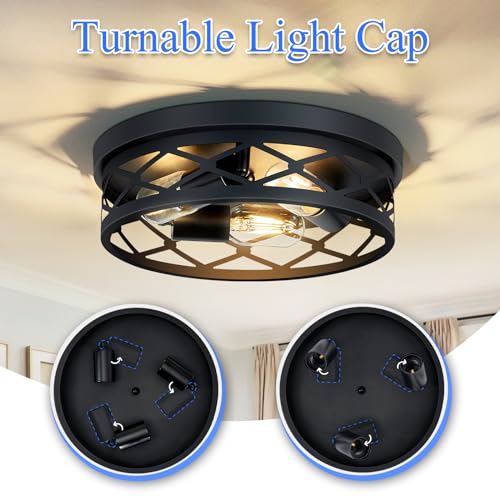 2 Pack Flush Mount Ceiling Light Fixture (2 Count)