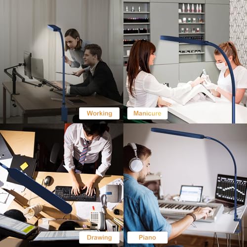 LED Desk Lamp