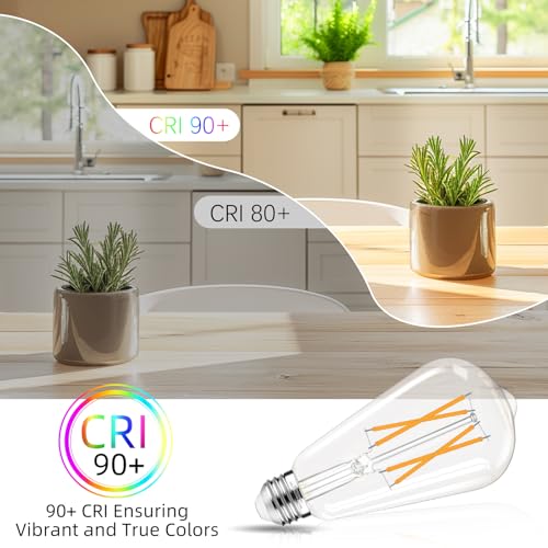 Soft White 2700K Edison Bulbs 60 watt Equivalent (24 Count)