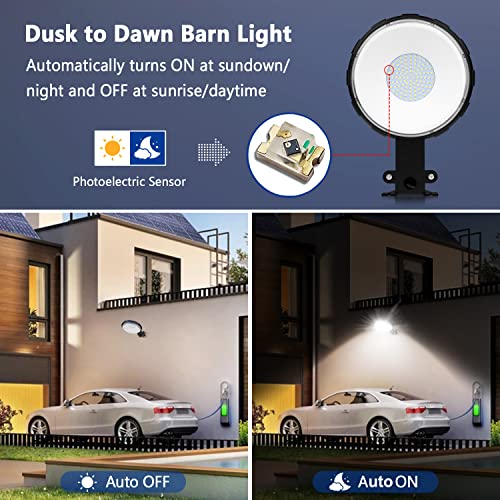100W LED Barn Light with 10KLM 5000K Daylight