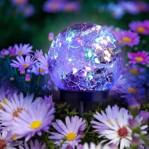 Solar Garden Lights Outdoor Waterproof (6 Count)