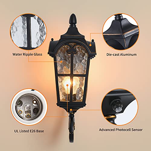 17.71" Dusk to Dawn Sensor Black Outdoor Wall Light Fixture