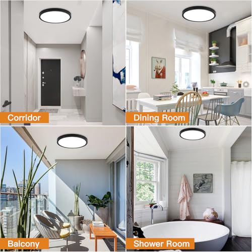 Dimmable Flush Mount Ceiling Light
