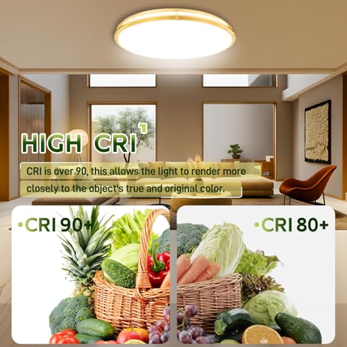 32 Inch Oval LED Ceiling Light