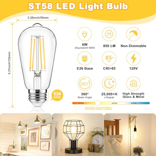 4 Pack Vintage Edison Bulbs 60W Equivalent (4 Count)