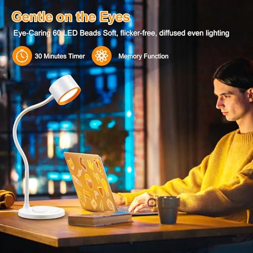 Desk lamp with 2 USB Charging Ports