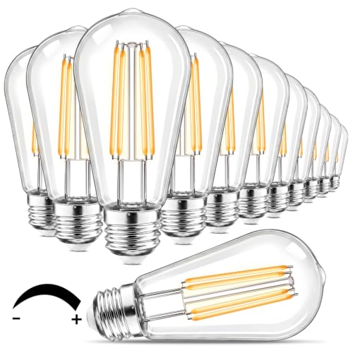 LED Edison Light Bulbs 12 Pack