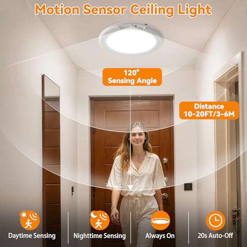 2Pack Rechargeable LED Ceiling Light (2 Count)