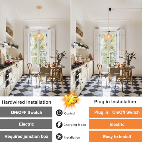 Plug in Pendant Light Hanging Light Fixture Corded On