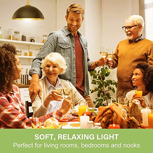 LED Light Bulbs 60 Watt Equivalent A19 Standard Light Bulbs 2700K Warm (4 Count)