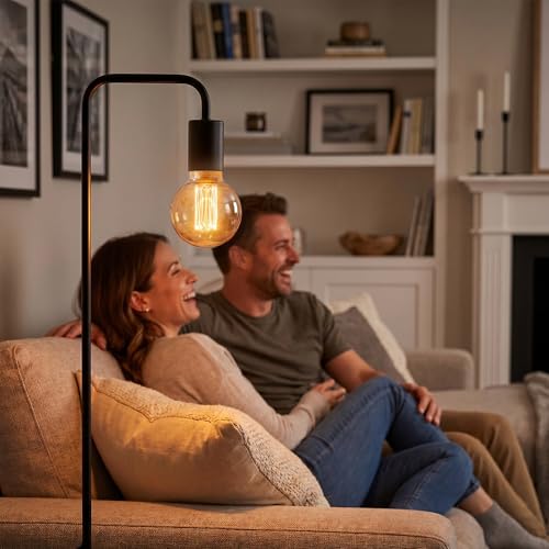 Dimmable Edison Bulb E26 Vintage Round LED Light LowLumen Amber G80