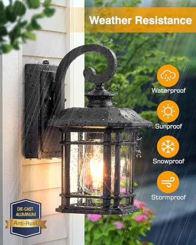 Black Outdoor Light Fixture Dusk to Dawn (2 Count)