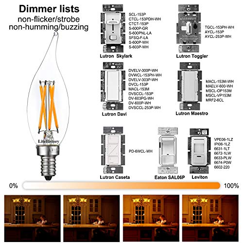 CA10 E12 Led Bulb (12 Count)