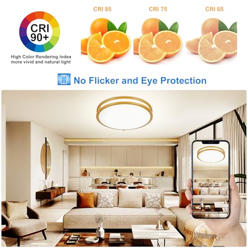 DLLT Flush Mount LED Ceiling Light