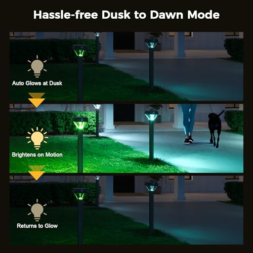 Smart Solar Pathway Lights